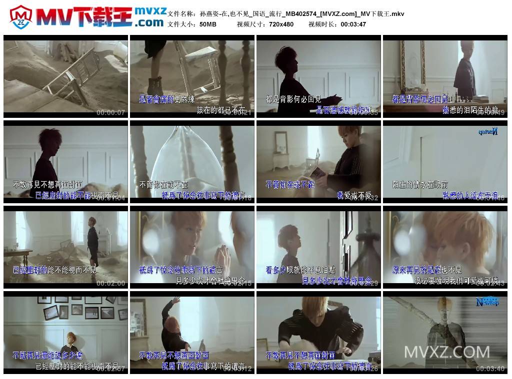 孙燕姿-在,也不见_国语_流行_MB402574